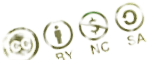 Creative Commons License